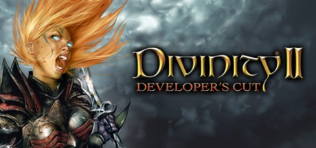 Divinity II: Developer's Cut cover