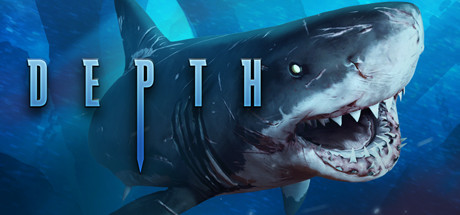Depth cover