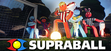 Supraball cover