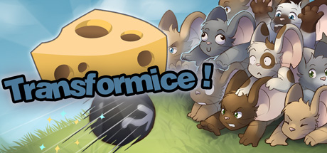Transformice cover