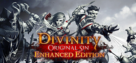 Divinity: Original Sin - Enhanced Edition cover